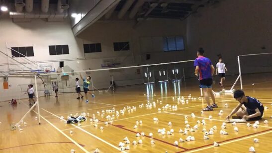Cara Kerja Seeding Badminton